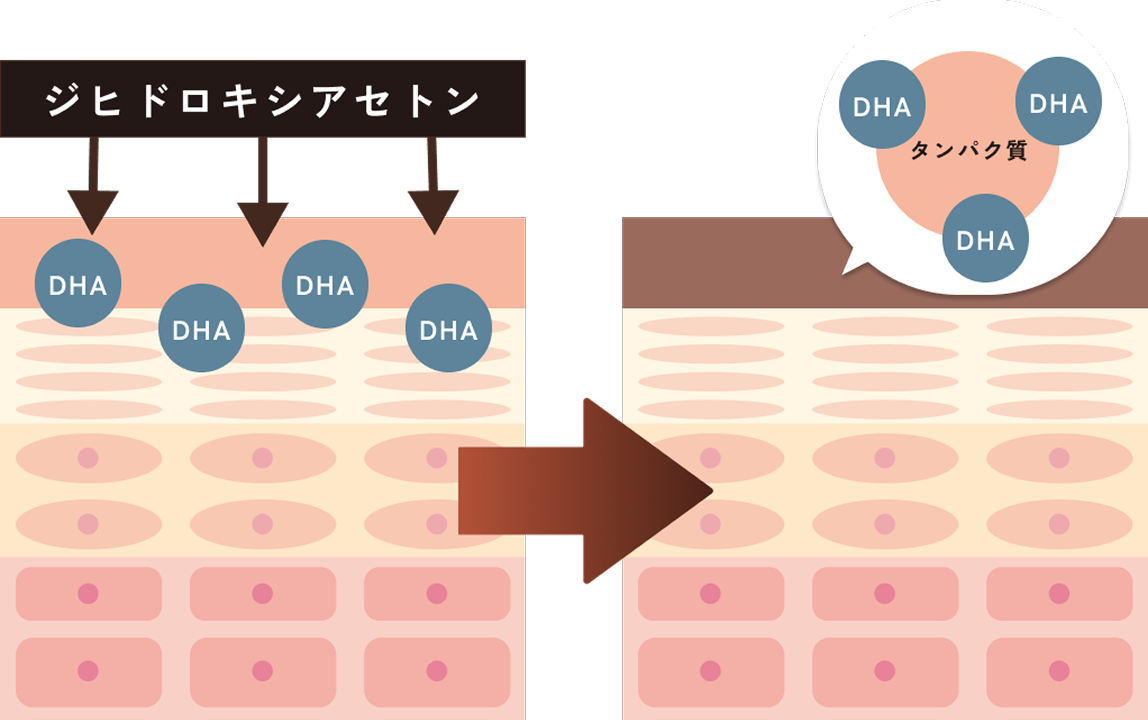 ジヒドロキシアセトによる肌色変化の概要説明図