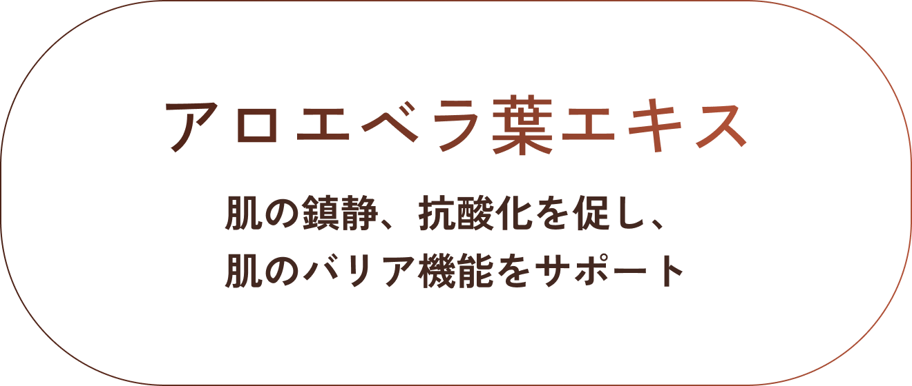 アロエベラ葉エキス。肌の鎮静、抗酸化を促し、肌のバリア機能をサポート。