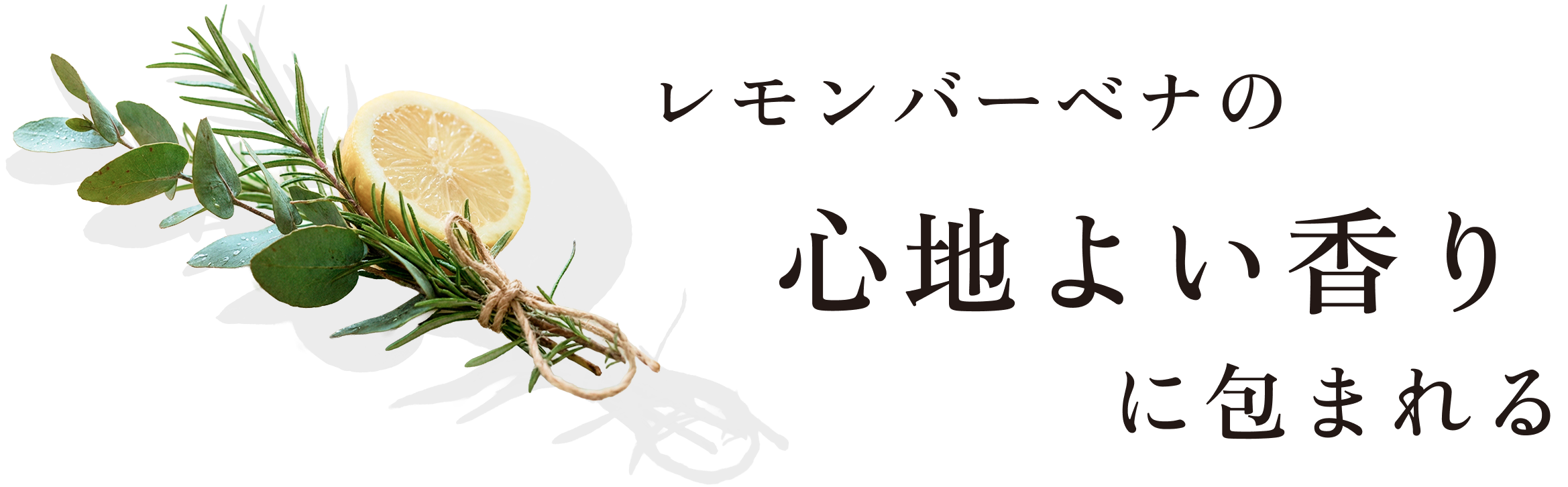 レモンバーベナの心地よい香りに包まれる