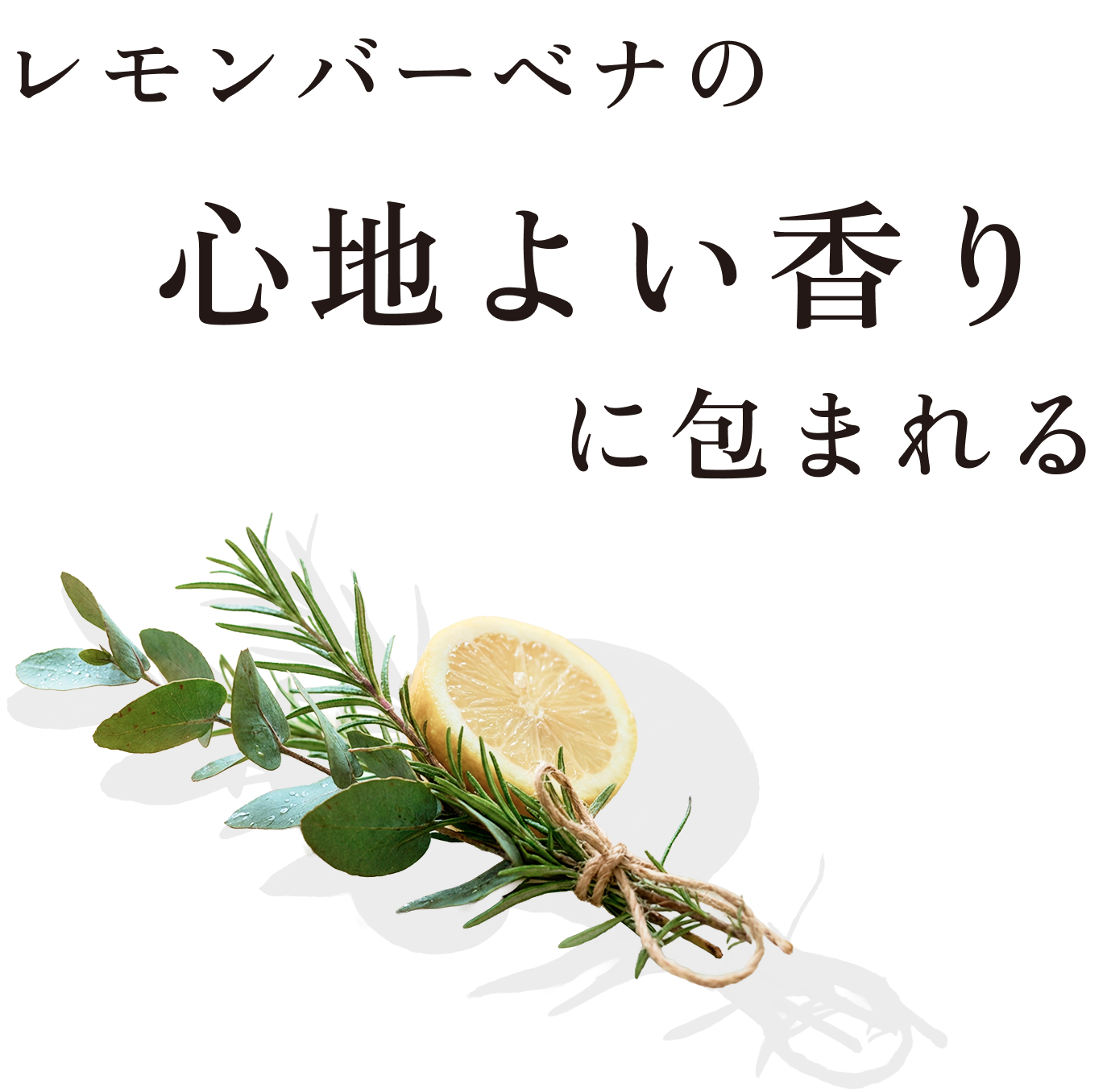 レモンバーベナの心地よい香りに包まれる